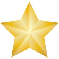 Gold Star #2 Badge